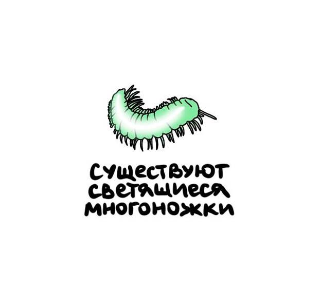 Интересные, но короткие факты на все случаи жизни
