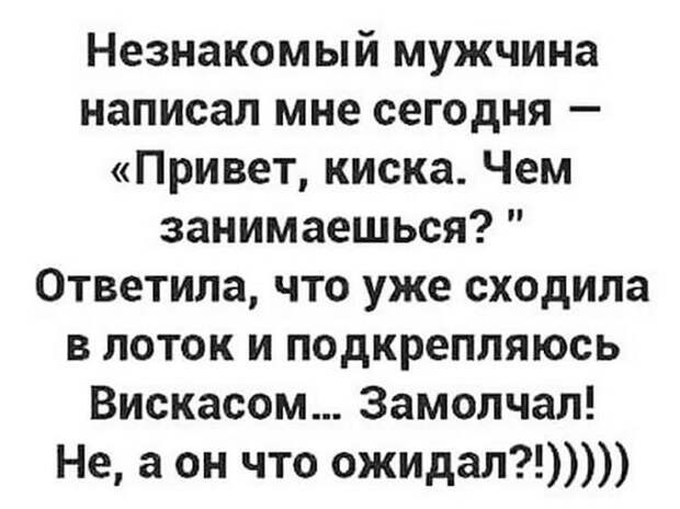 17 уморительных приколов для отличного настроения
