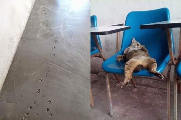 Дизайнер интерьера