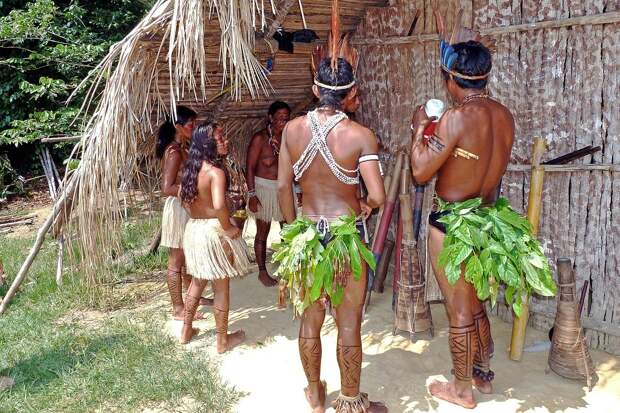 Индейцы из бразильской сельвы стали жертвами спутникового интернета от Илона Маска