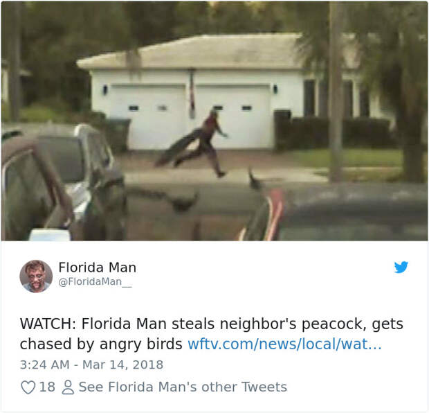 Florida-Man-Headings