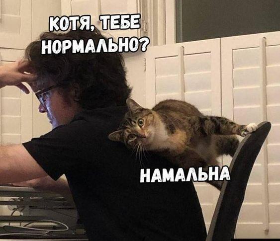 Улетные свежие картинки с надписями (четверг)