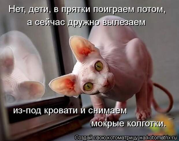 Котоматрица - Нет, дети, в прятки поиграем потом, а сейчас дружно вылезаем  из-под к