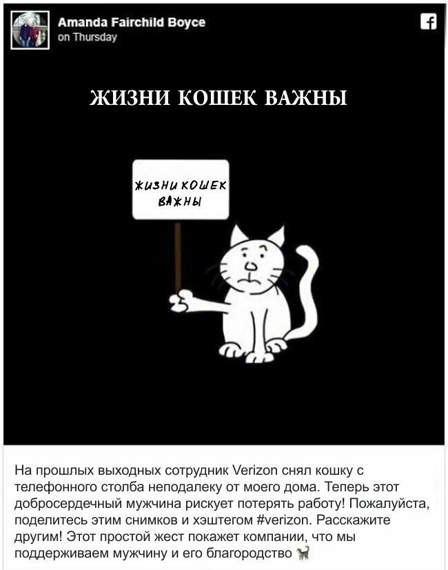 Спас кошку, но проштрафился перед начальством Спас кошку, но проштрафился перед начальством