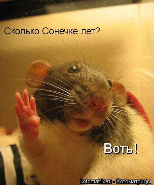 Подумала о своей жизни... сразу мухи налетели.