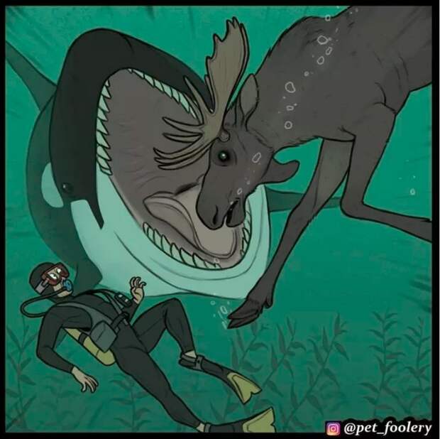 Маленькая дайверская история: подводный лось