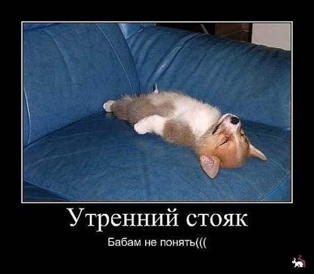 Демотиваторы и мотиваторы. Демки пятница Демотиваторы и мотиваторы. Демки пятница