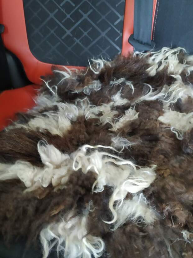 Для чего на Юге Урала в автомобилях возят котелок с дырками на дне:совет,который спас сотни жизней!