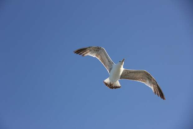 Элафониси, розовые пески, пляж, горы, море, путешествия, фотография, Аксанов Нияз, kukmor, Греция, красота, of IMG_0177 Элафониси, розовые пески, пляж, горы, море, путешествия, фотография, Аксанов Нияз, kukmor, Греция, красота, of IMG_0177