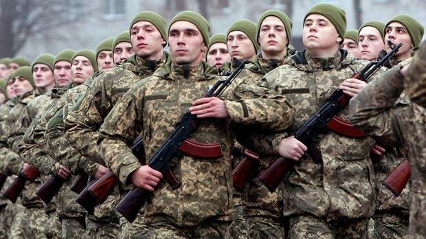 Киевские террористы планируют новое нападение на республики Донбасса. Анатолий Вассерман