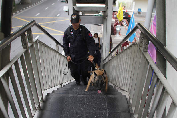 Собака помогла поймать убийцу и получила награду