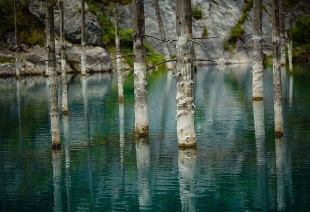 Удивительный затонувший лес: озеро Каинды  затонувший лес, озеро Каинды