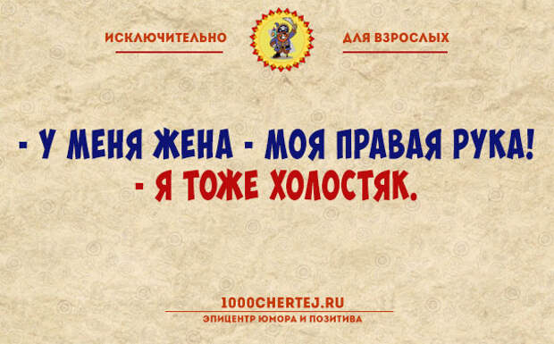 Авторизация пройдена! Подборка анекдотов для тех, кто считает себя взрослым