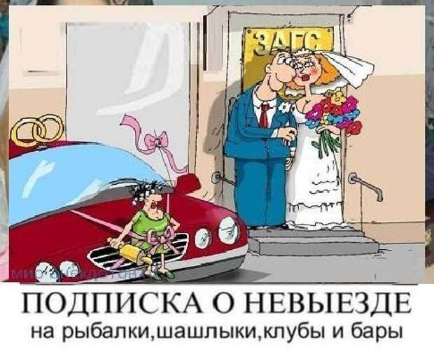 Анекдоты, истории и картинки с надписями