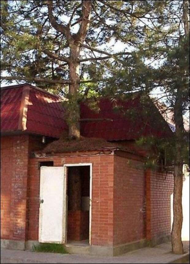 Подборка фотоприколов
