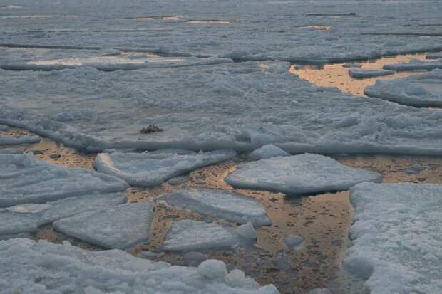 Лёд тронулся: второй день весны Приморье встретит сильным ветром