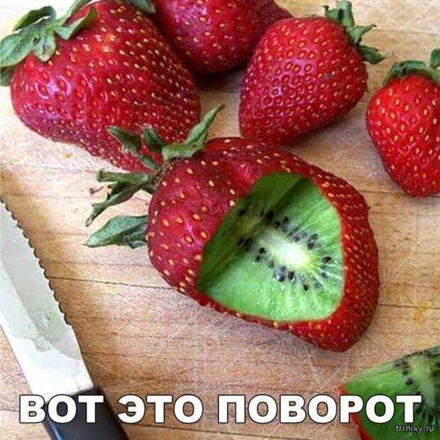 Смешные картинки с надписями