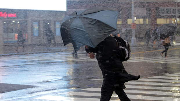 "Желтый" уровень погодной опасности объявили в Москве из-за ветра
