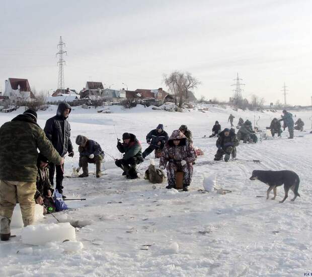 В Ульяновской области на реке Черемшан массово гибнет рыба
