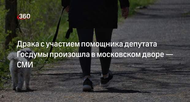 Shot: драка с участием помощника депутата Госдумы произошла в Москве из-за собак