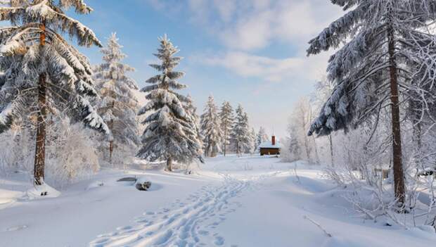 Как проводили на Руси Степанов день 9 января