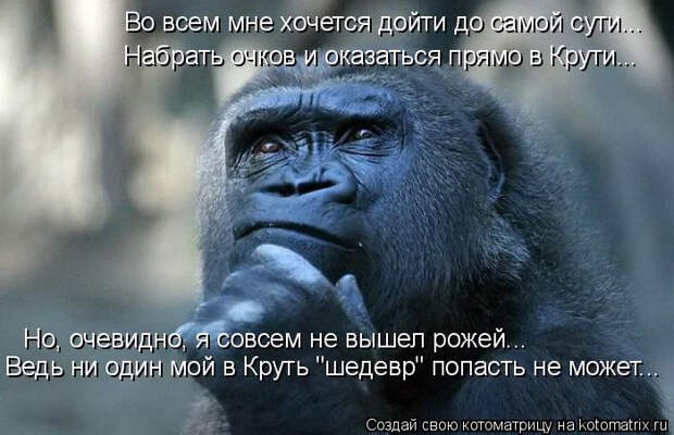 kotomatritsa_9V (700x452, 241Kb)