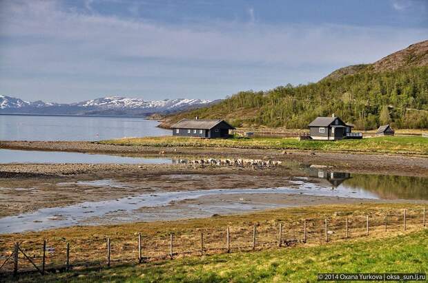 Norway19 Заполярная Норвегия