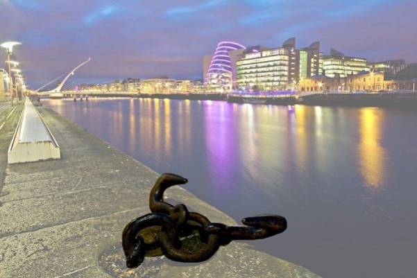 image8_601x401