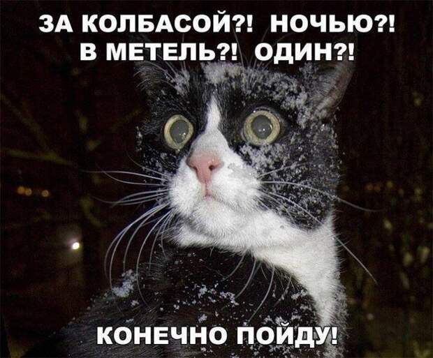 22 классных веселых анекдота