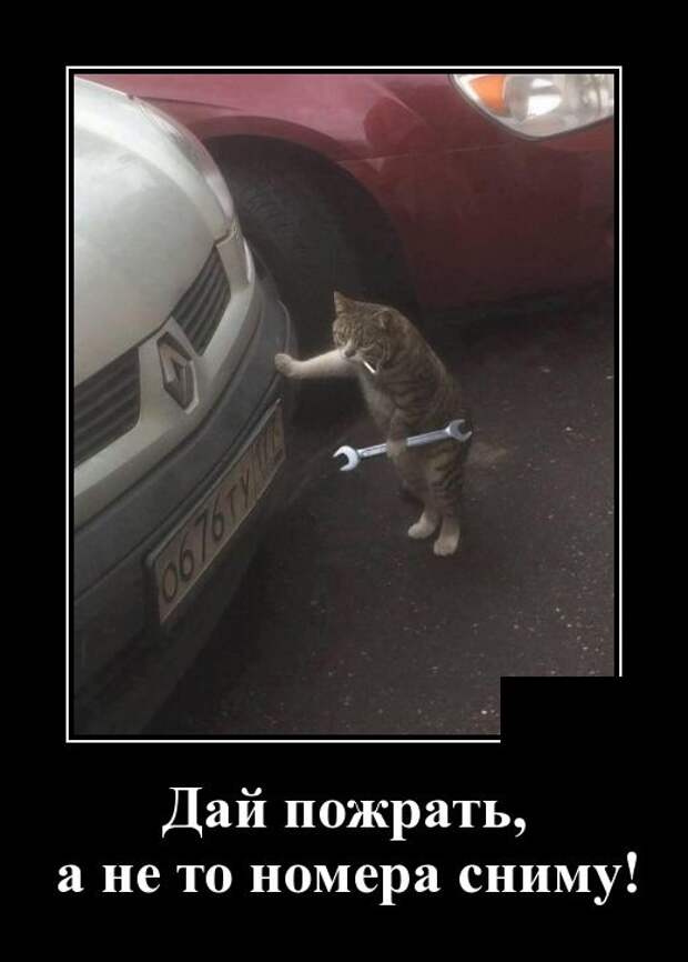 www.vsyako.net