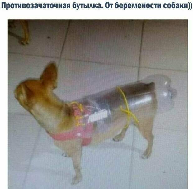 Неисчерпаемая кладезь мудрости: интернет