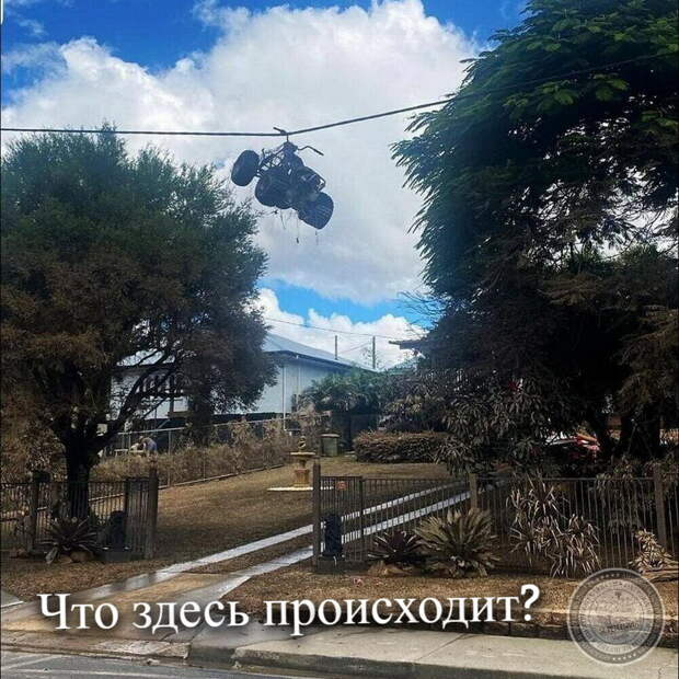 Что здесь происходит?