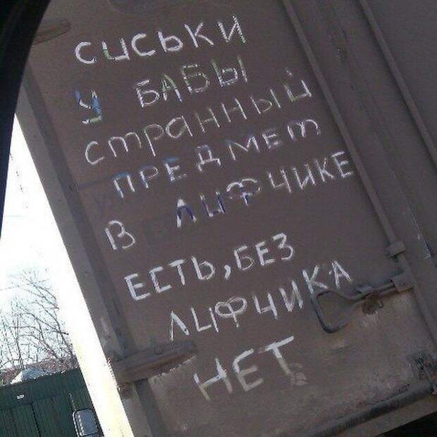 181703_8_trinixy_ru.jpg