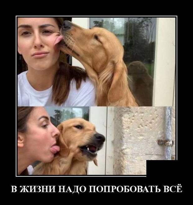 demotivatory-demotivator-smeshnye-demotivatory-demotivator-so-smyslom
