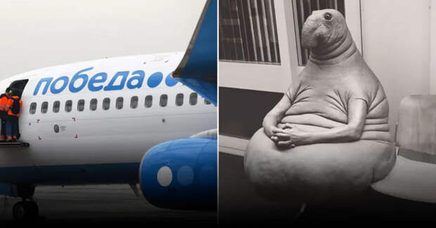 ФАС наказала авиакомпанию «Победа» за звуковую рекламу