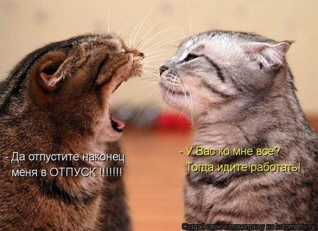 Мысли вслух :)