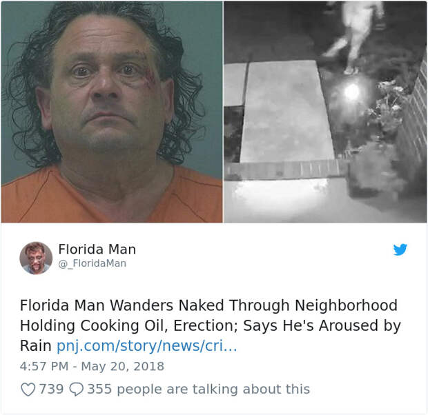 Florida-Man-Headings
