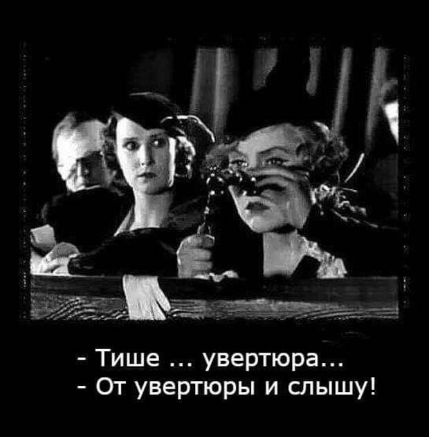 Свежие прикольные картинки