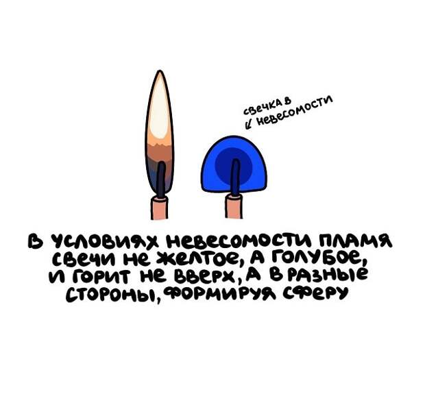 Интересные, но короткие факты на все случаи жизни