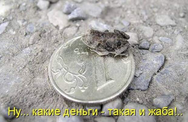 Забавности с надписями