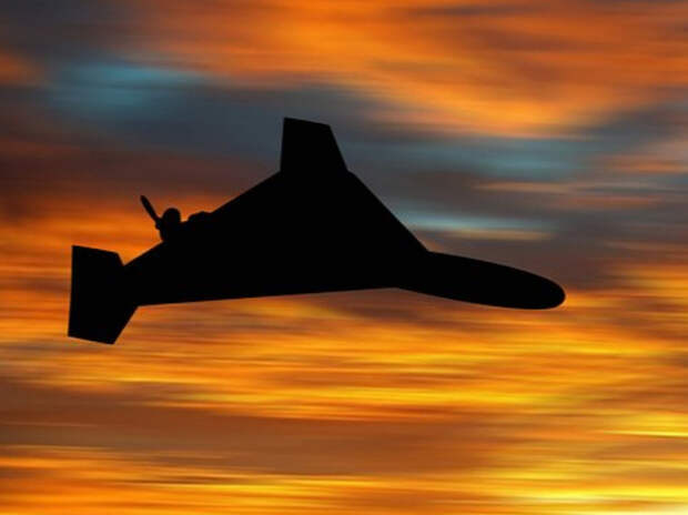 ВСУ применяют перехватчики P1‑Sun — «Писюны» — против российских «Гераней»