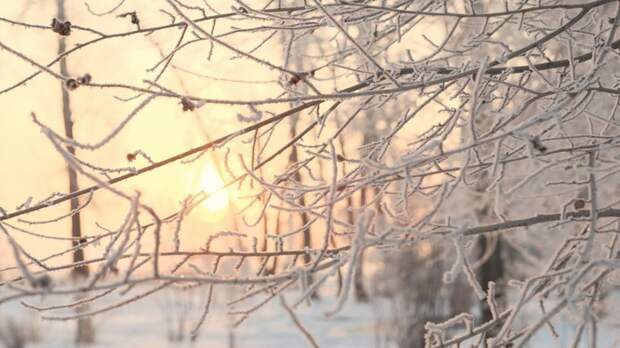 До -11. О погоде в Барнауле 29 января