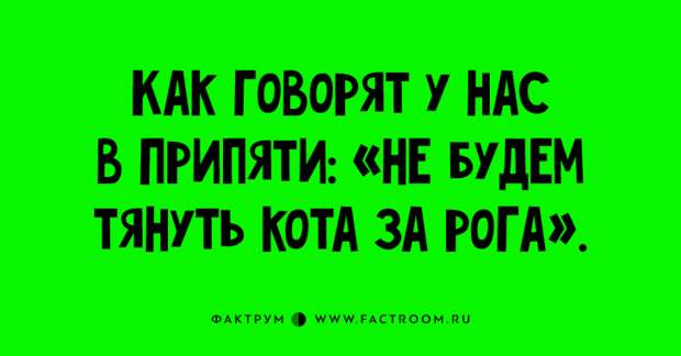 Потрясающие анекдоты и шутки, которыми стоит поделиться с друзьями Потрясающие анекдоты и шутки, которыми стоит поделиться с друзьями