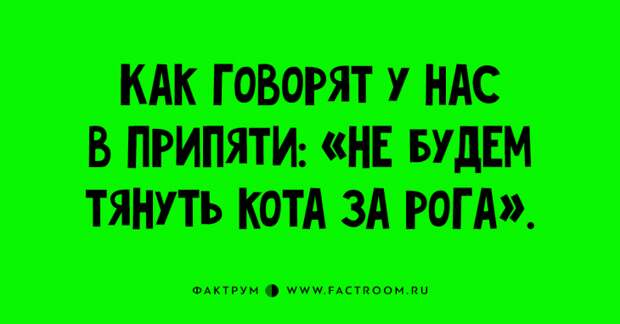 Потрясающие анекдоты и шутки, которыми стоит поделиться с друзьями