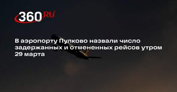 В аэропорту Пулково назвали число задержанных и отмененных рейсов утром 29 марта