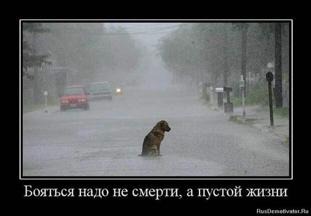 Демотиваторы и мотиваторы. Демотиваторы и закосы под них_20-12-2012 Демотиваторы и мотиваторы. Демотиваторы и закосы под них_20-12-2012