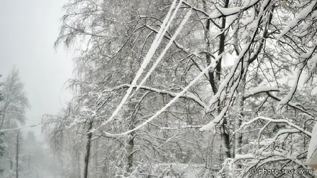 В Ростовской области объявлено штормовое предупреждение