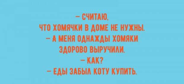 Легкий юмор для поднятия настроения