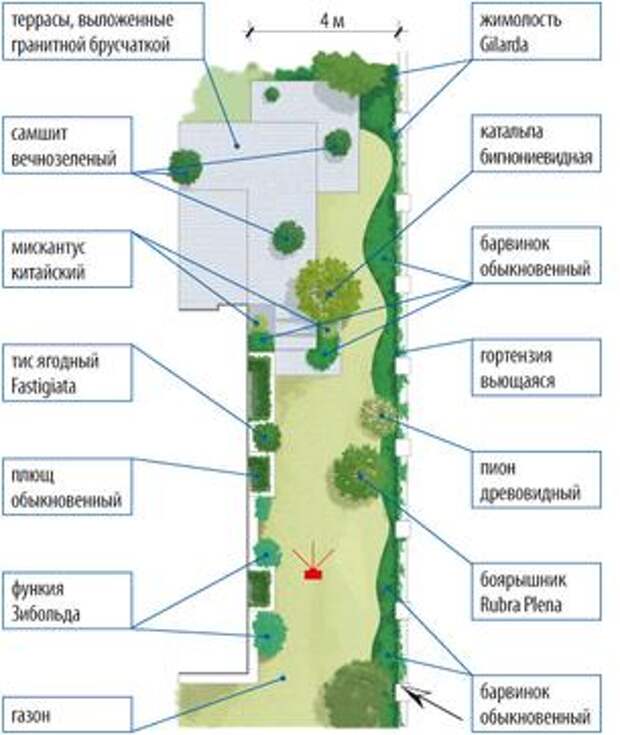Положение домов. План посадки растений на участке. Посадка растений на узком участке. Посадки деревьев на узком участке. Рассадка растений на узком участке.