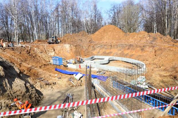 В ЦПКиО в Рязани удаляют больные деревья и готовят площадку для высадки новых